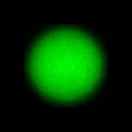 CTZ_CLU701V2a_NIO5366