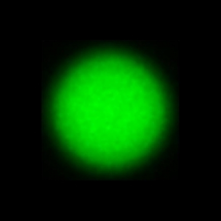 CTZ_CLU710VVDa_NIO5363