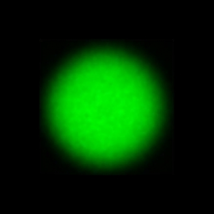 CTZ_CLU710V1a_NIO5466