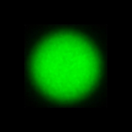 CTZ_CLU711V2a_NIO5466
