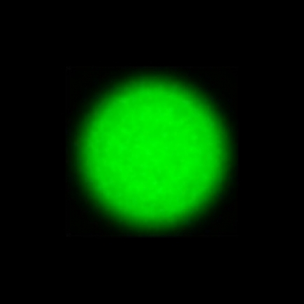 CTZ_CLU720V1a_NIO5565_P