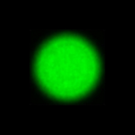 CTZ_CLU720VVDa_NIO5662_P